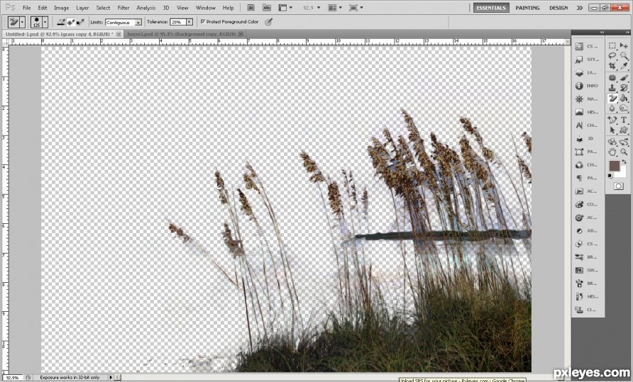 Creation of Wild Horse and Sea Oats: Step 3