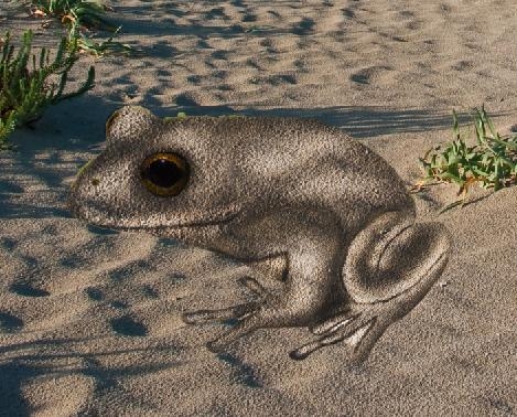 Creation of Sand Frog: Step 5