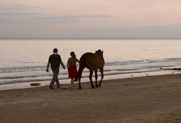 Creation of Sunset Stroll: Step 1