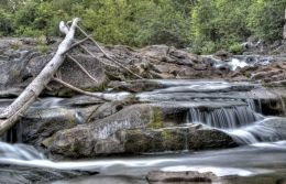 Bonnechere River