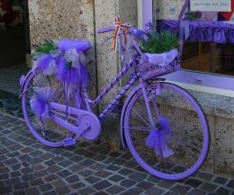 A bicycle purple