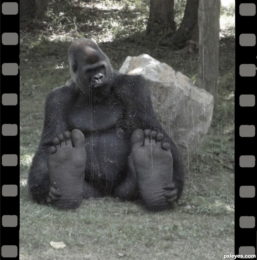 Bigfoot on film: 1922 photoshop picture)