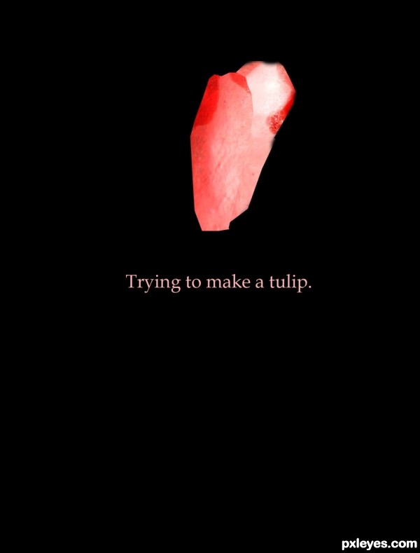 Creation of Tulips: Step 2