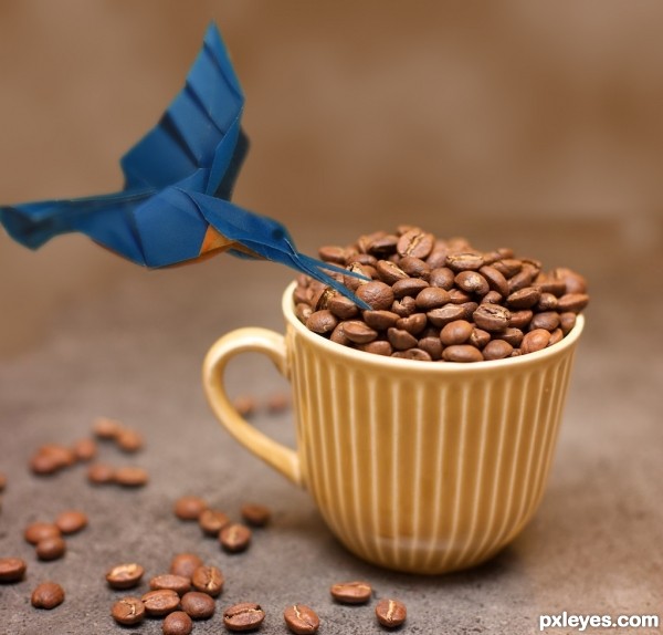 bird likes coffee?