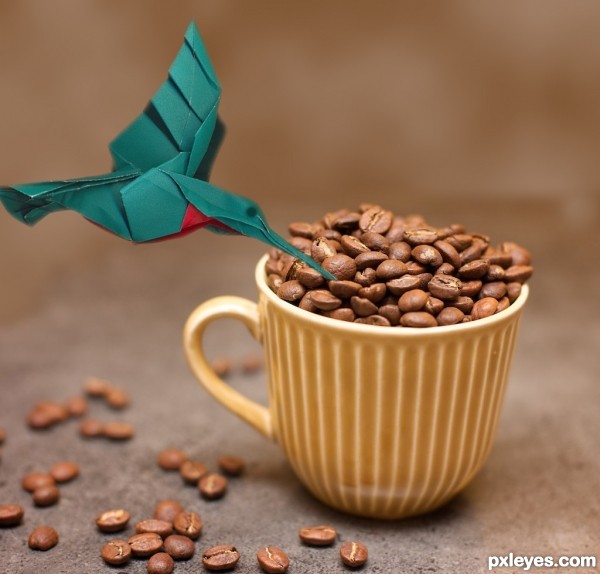 Creation of bird likes coffee?: Step 3