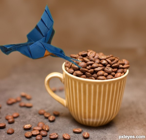 Creation of bird likes coffee?: Step 5