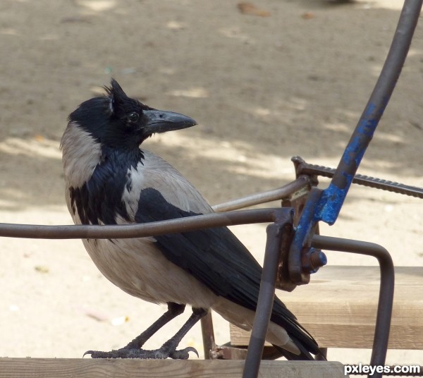 This swing is taken