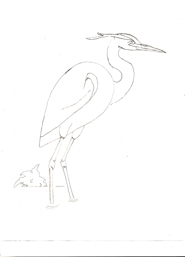 Creation of Blue Heron: Step 3