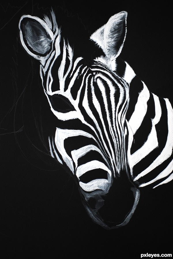 Creation of painted zebras: Step 3