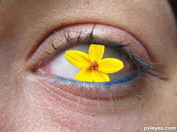 Creation of flowery-eye: Step 3