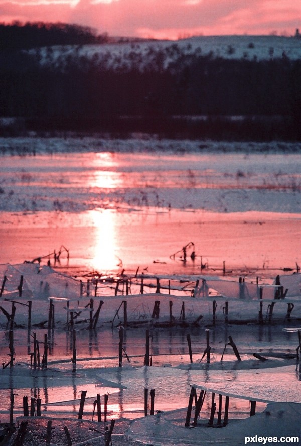 Field at Sunset