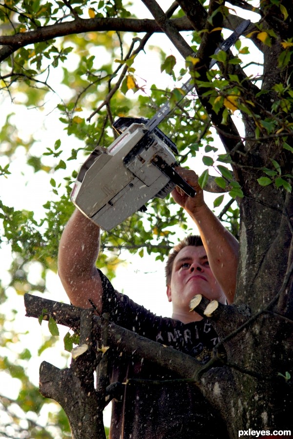 tree cutting is a hard job