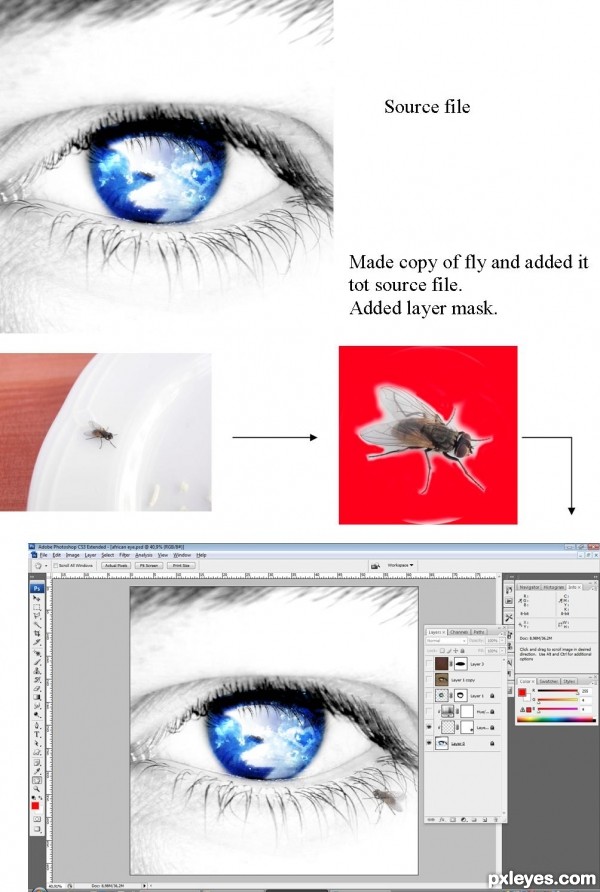 Creation of African eye: Step 1