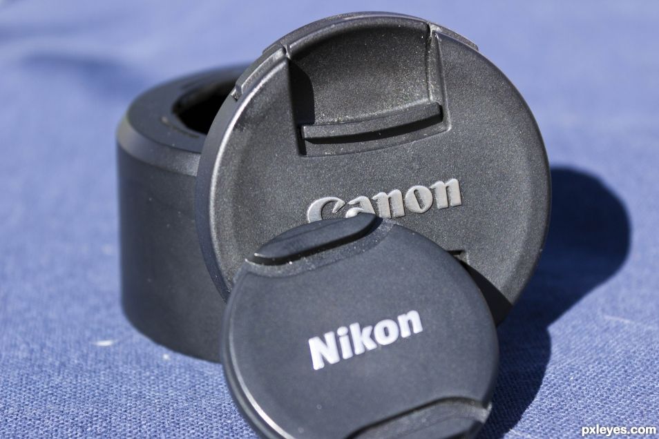 Nikon vs. Canon