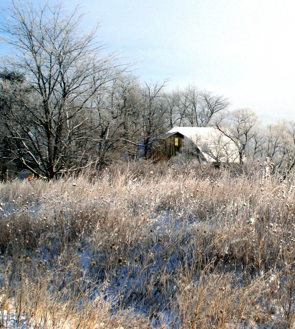 Creation of A Fine Day for a Sleigh Ride: Step 7