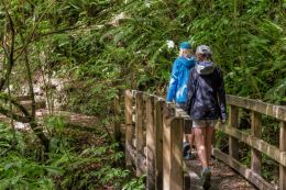 small footbridge 