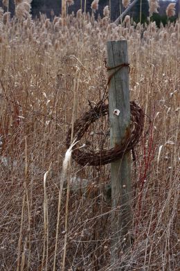 Post in the Grasses