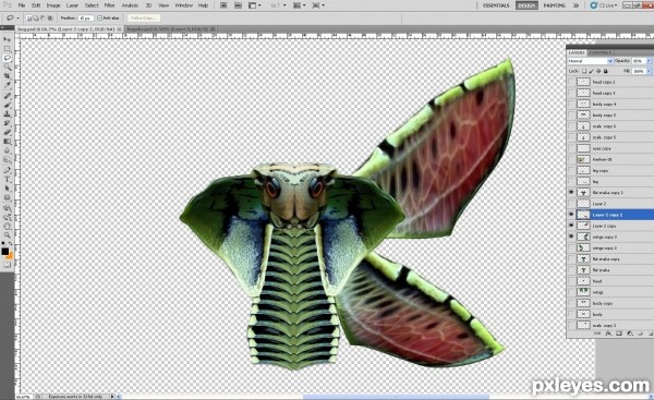 Creation of Cobra moth: Step 9