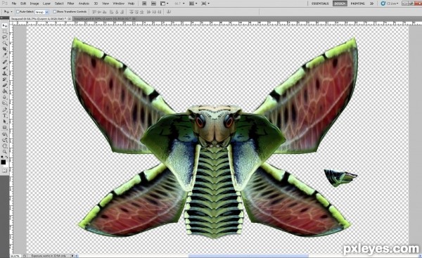 Creation of Cobra moth: Step 10