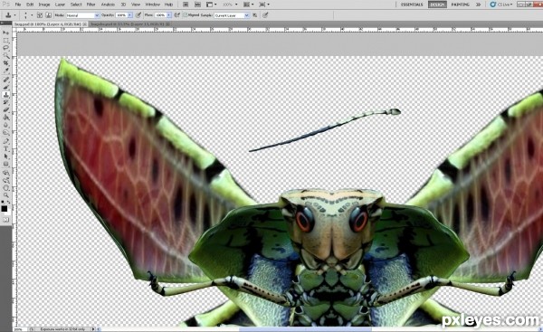 Creation of Cobra moth: Step 13