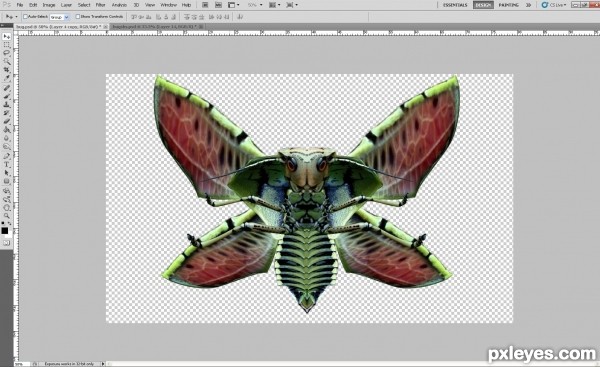 Creation of Cobra moth: Step 14