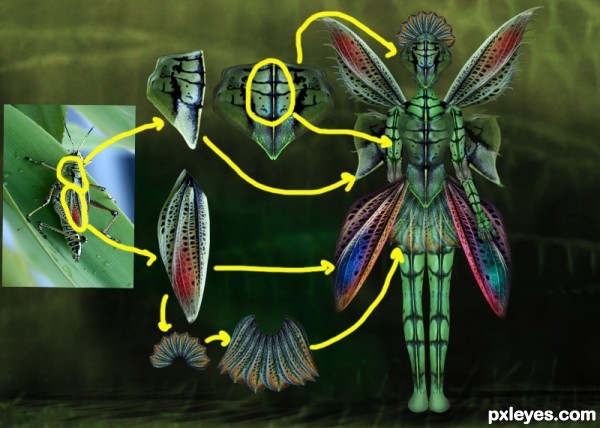 Creation of Big Bug: Step 5