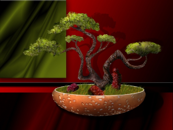 Creation of Bonsai: Step 10