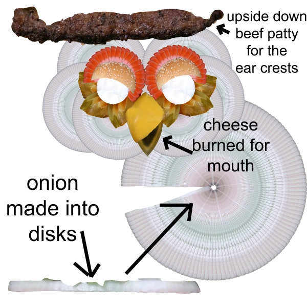 Creation of Where's the Beef Owl: Step 4