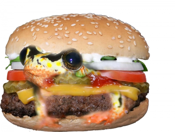 Creation of Eat burger with Frog?!!: Step 3