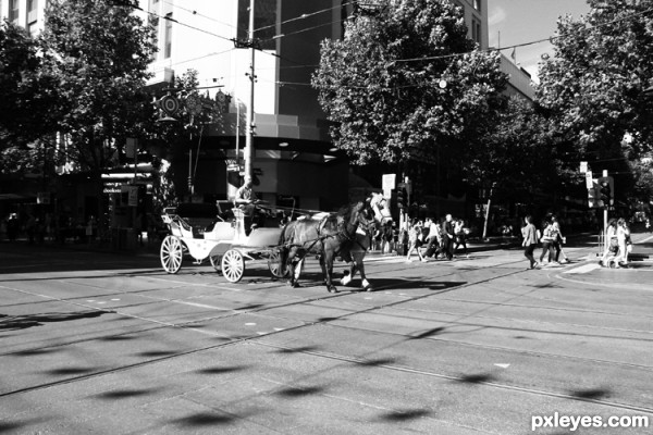 Creation of Cart Ride in the City: Step 2