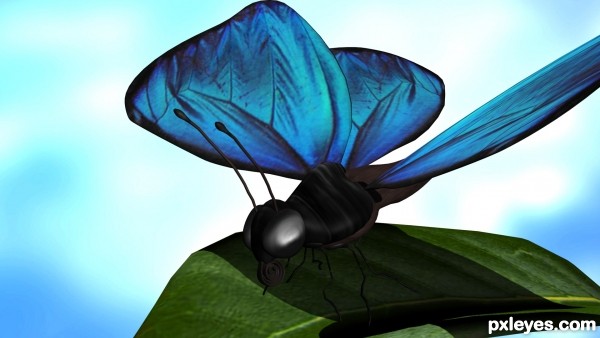 Creation of Blue Butterfly: Step 16