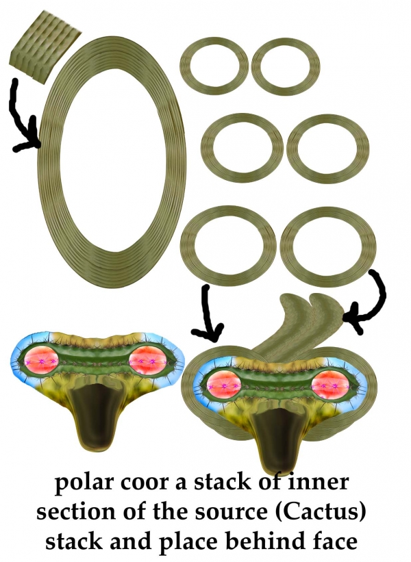 Creation of Cactus Flower Monster: Step 4