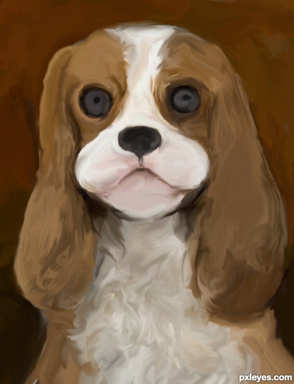 Creation of King Charles Spaniel: Step 4