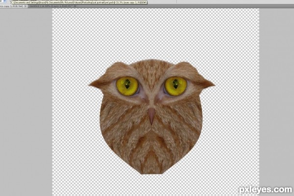 Creation of What a hoot: Step 5