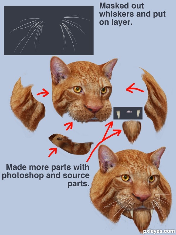 Creation of Kzinti Warrior: Step 2