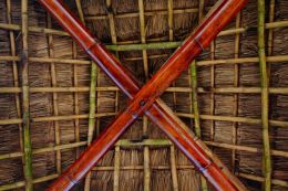 Palapa Ceiling Picture