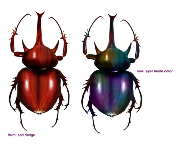 Creation of Beatle(Update): Step 2