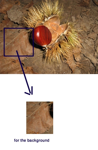 Creation of Beatle(Update): Step 3