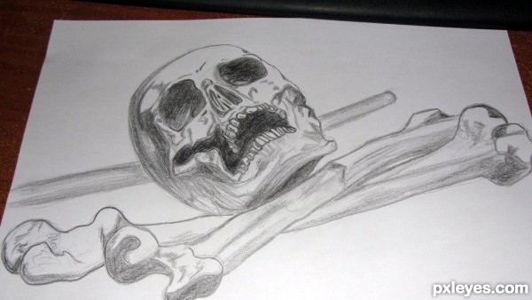 Creation of Skull: Step 3