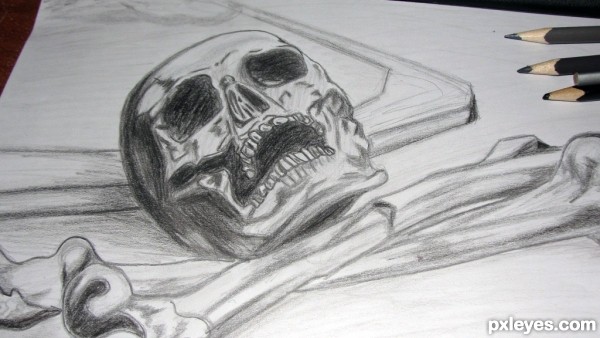 Creation of Skull: Step 4