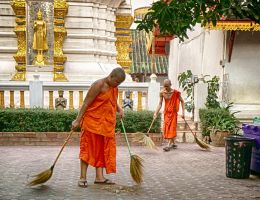 Broom Brigade