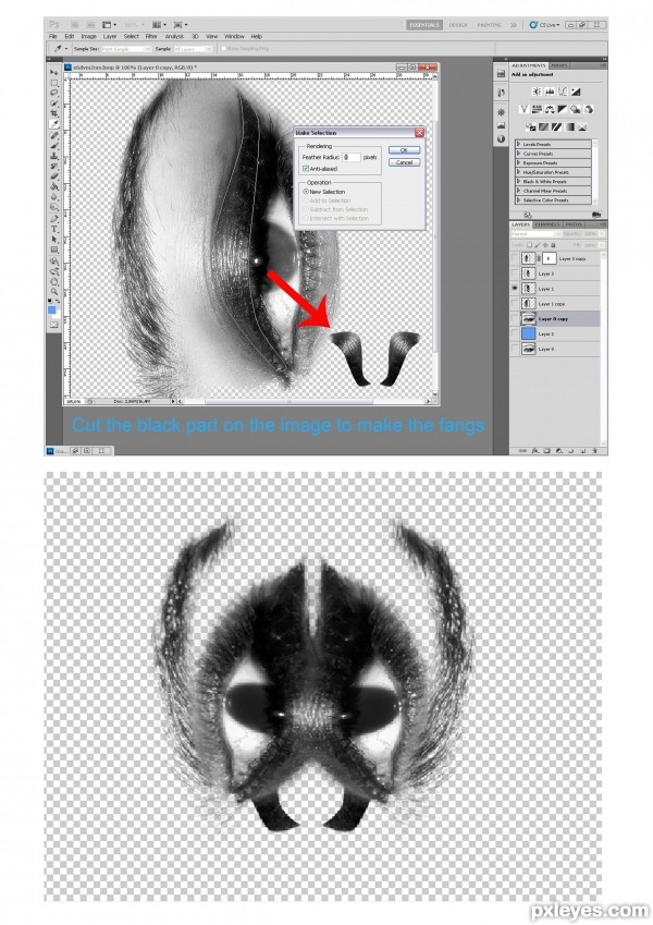 Creation of New Species: Step 2