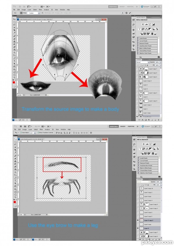 Creation of New Species: Step 3