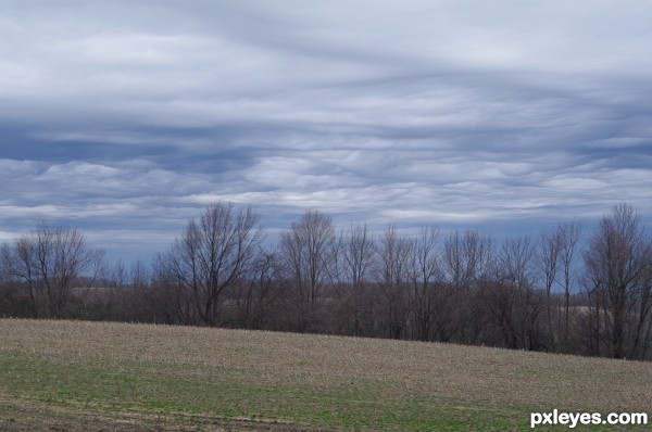 Creation of Mammatus Clouds: Step 1