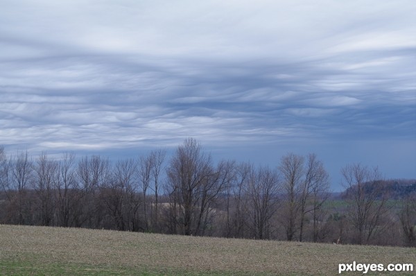 Creation of Mammatus Clouds: Step 2