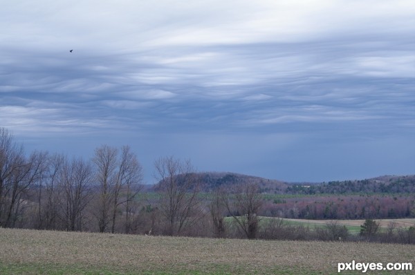 Creation of Mammatus Clouds: Step 3