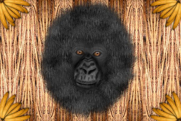 Portrait of a Gorilla