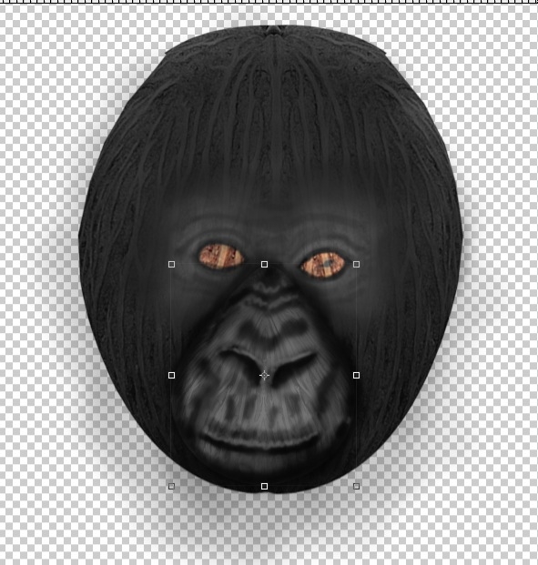 Creation of Portrait of a Gorilla: Step 3