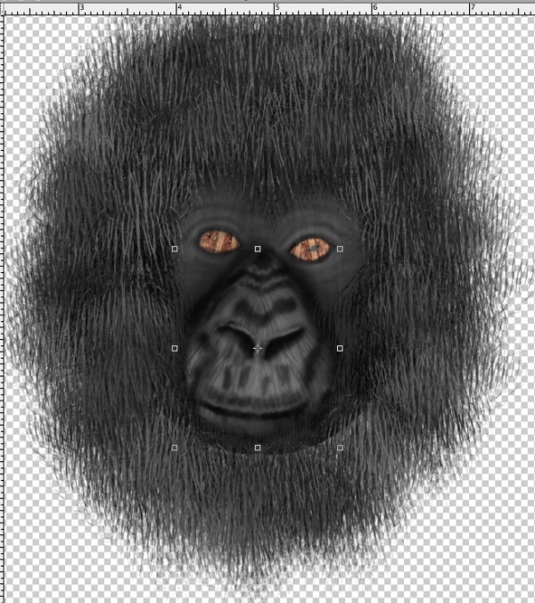 Creation of Portrait of a Gorilla: Step 6