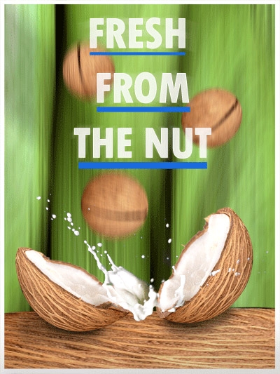 Creation of Fresh from the nut: Step 10